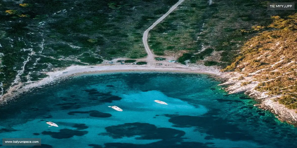 开云体育下载——虎啸山林，笑傲群芳！💪